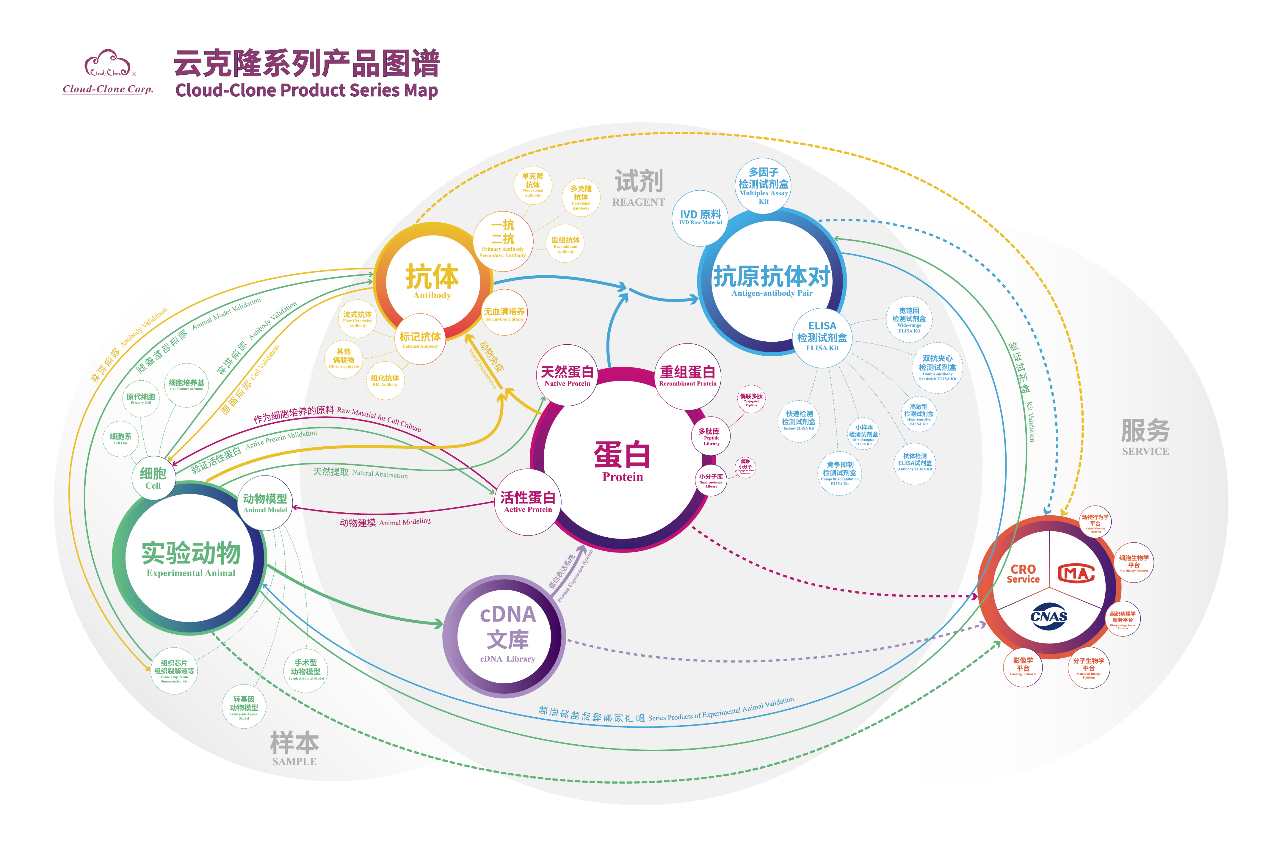 云克隆產(chǎn)品圖譜